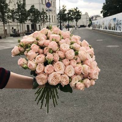 Krasnodara çiçek gönderimi