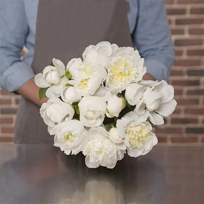 Berline çiçek göndermek