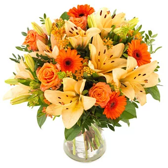 Belçikaya çiçek gönder
